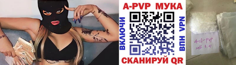 Где найти наркотики Кондопога Псилоцибиновые грибы  Мефедрон  Гашиш  АМФ  COCAIN  Конопля  А ПВП 