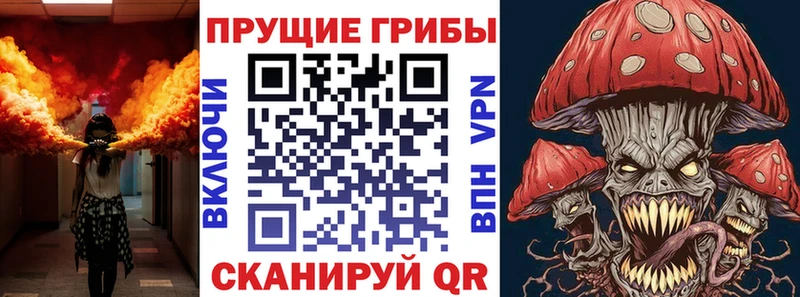 ОМГ ОМГ ссылки  Кондопога  Галлюциногенные грибы MAGIC MUSHROOMS 